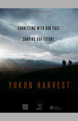Yukon Harvest