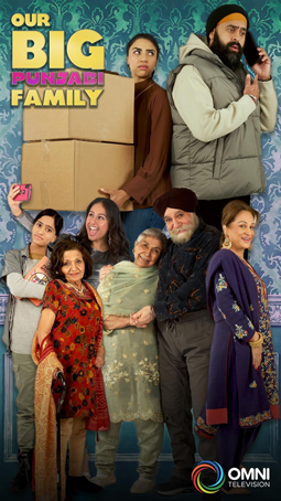 Our Big Punjabi Family