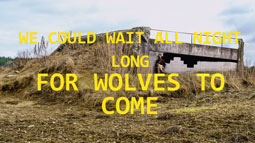 We Could Wait All Night Long <br>For Wolves To Come by John Mutter