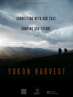 Yukon Harvest